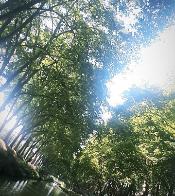 Toulouse Croisieres-图卢兹必去景点