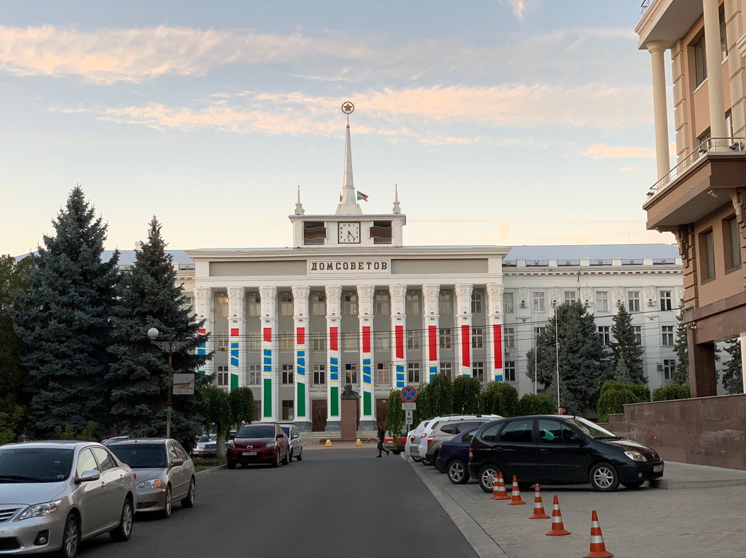 House of Soviets景点图片