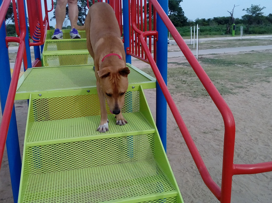 Parque De La Democracia-雷西斯滕西亚必去景点
