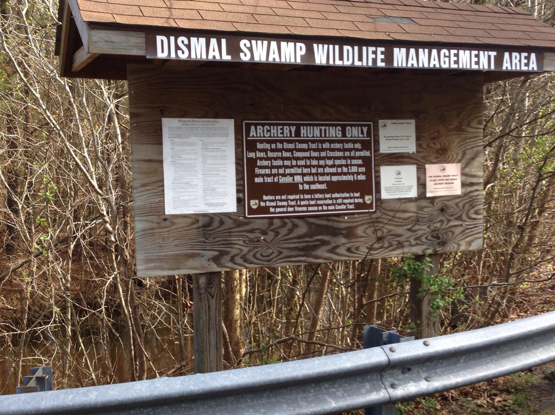 Dismal Swamp Canal Trail景点图片