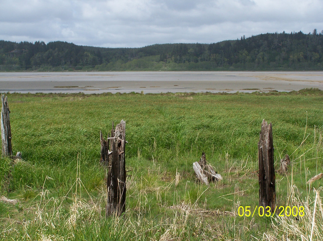 Grays Harbor National Wildlife Refuge景点图片