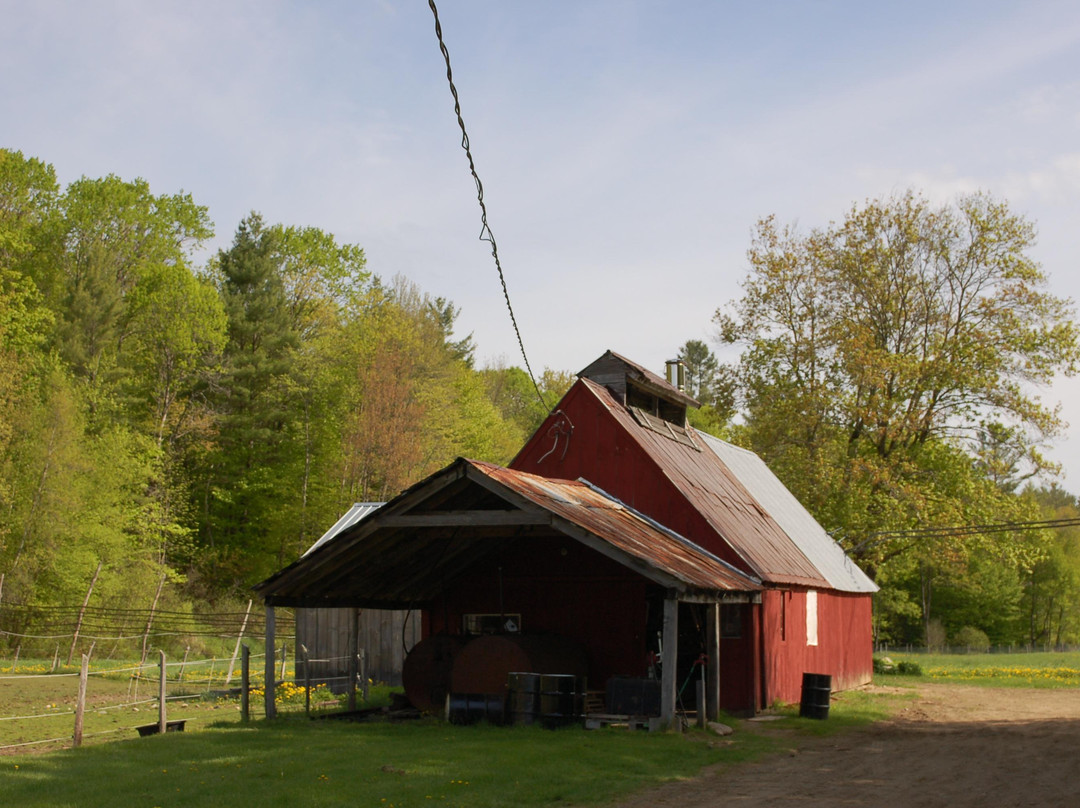 Grafton旅游景点-Plummer's Sugar House