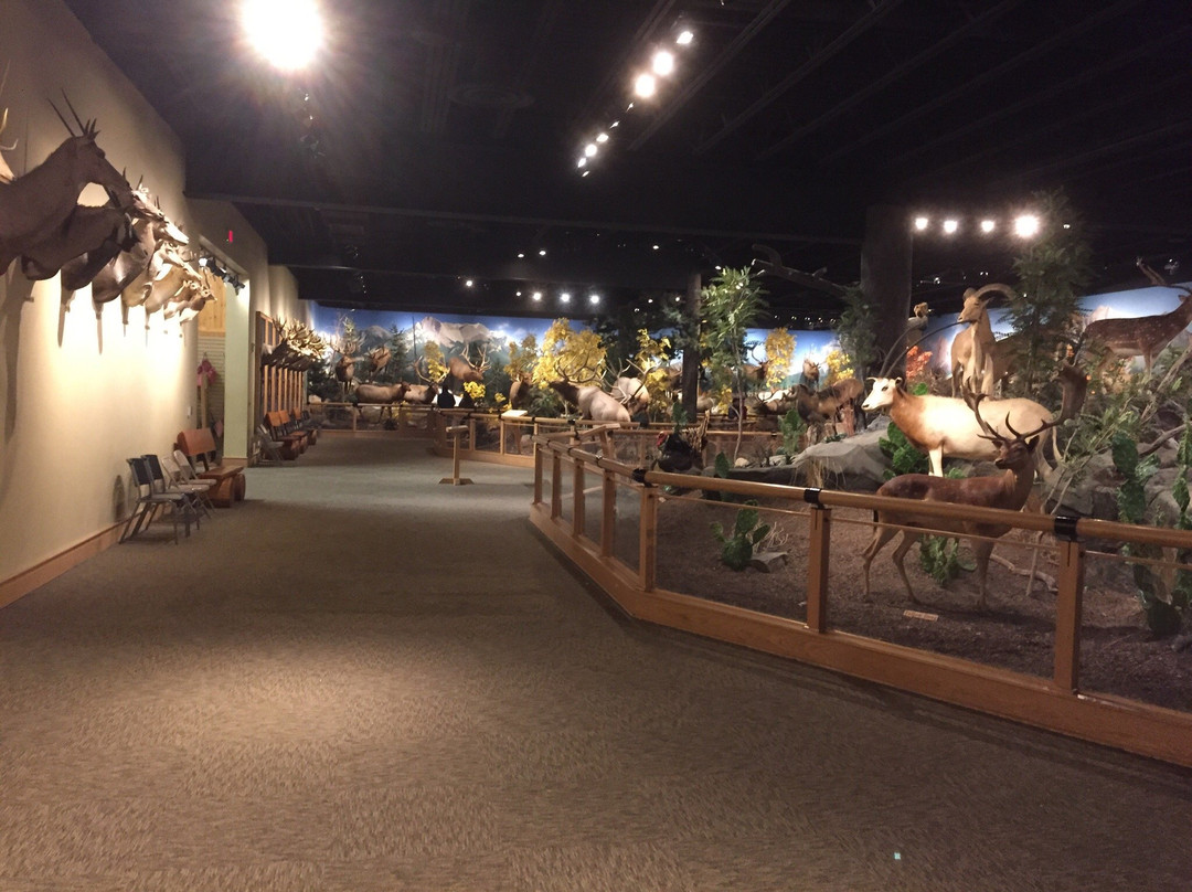 Haslet旅游景点-Cabela's