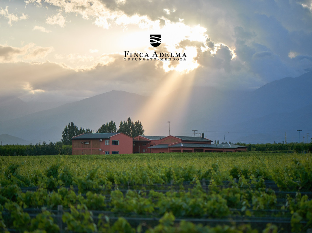Finca Adelma景点图片
