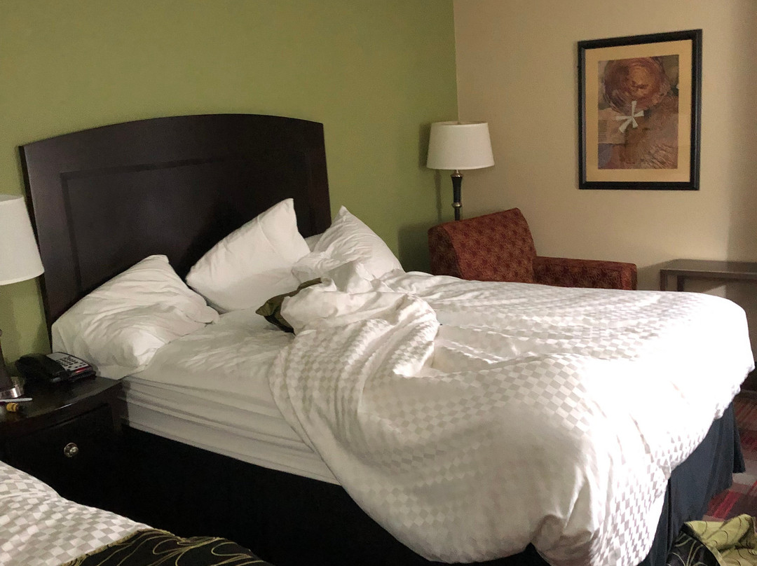 Addison/Dallas Hotel主图