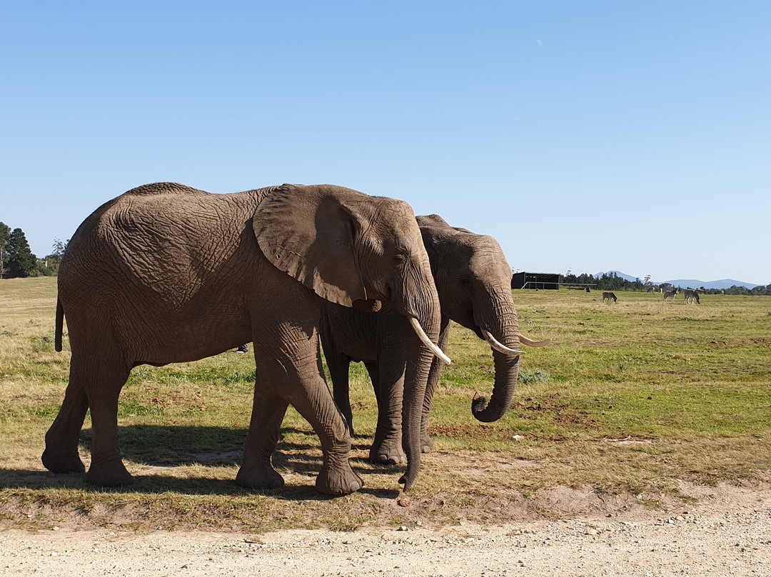 Claim Victory-Bellville必去景点