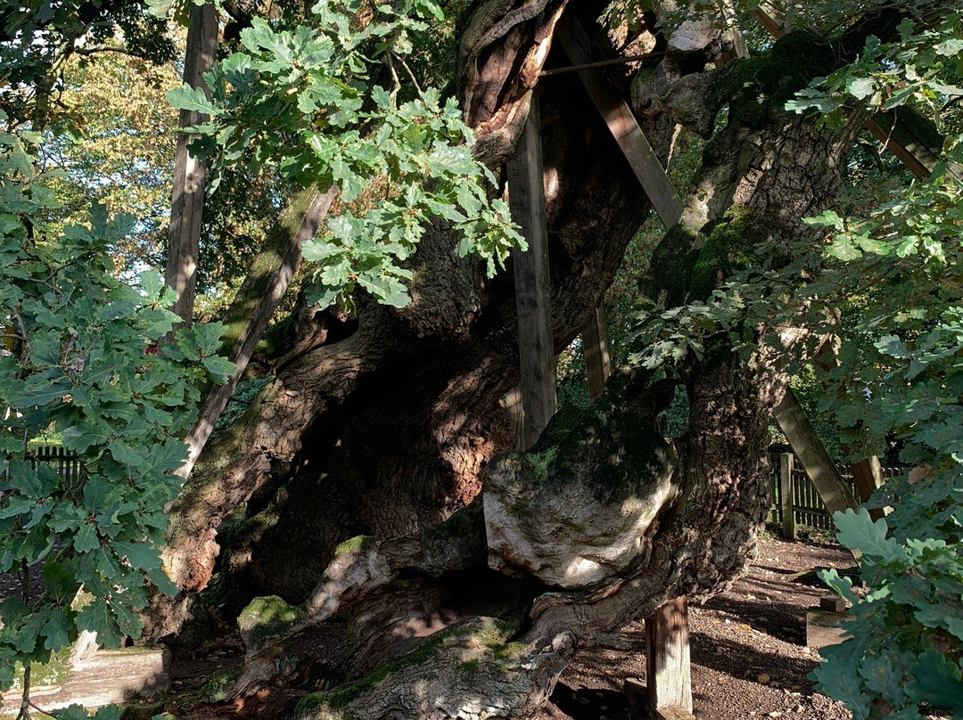 Femeiche-Raesfeld必去景点