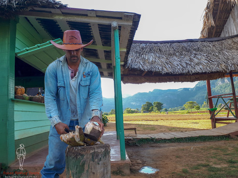 Cuban Cowboy Tours-维纳勒斯必去景点