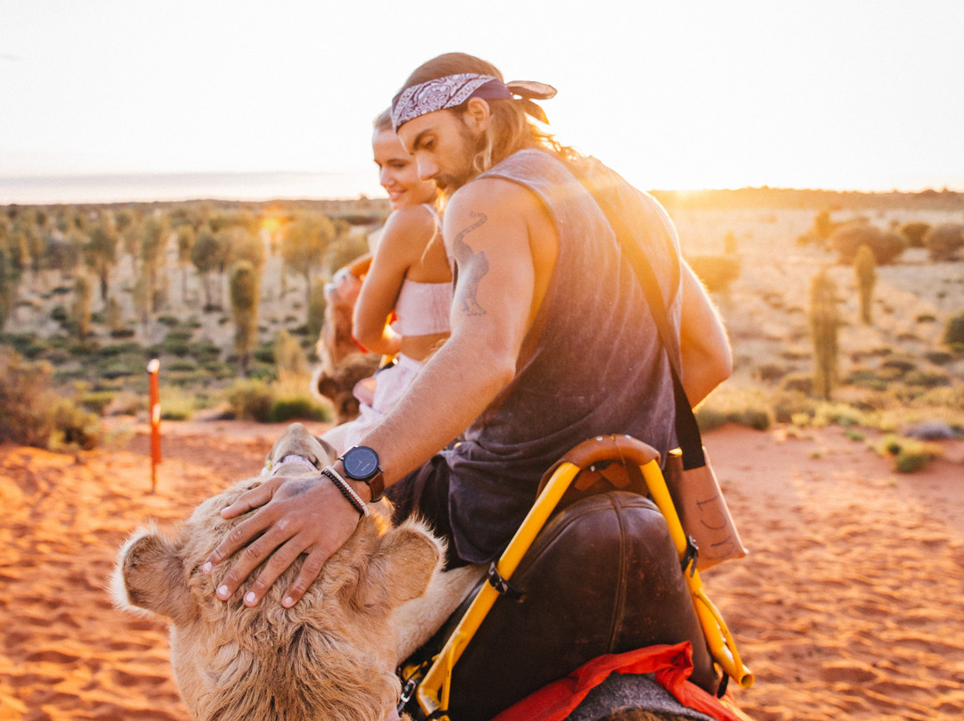 Uluru Camel Tours景点图片
