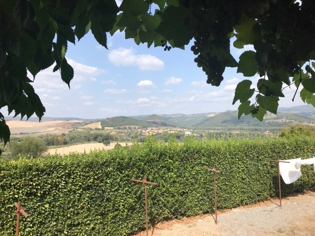 Podere Sette Piagge主图