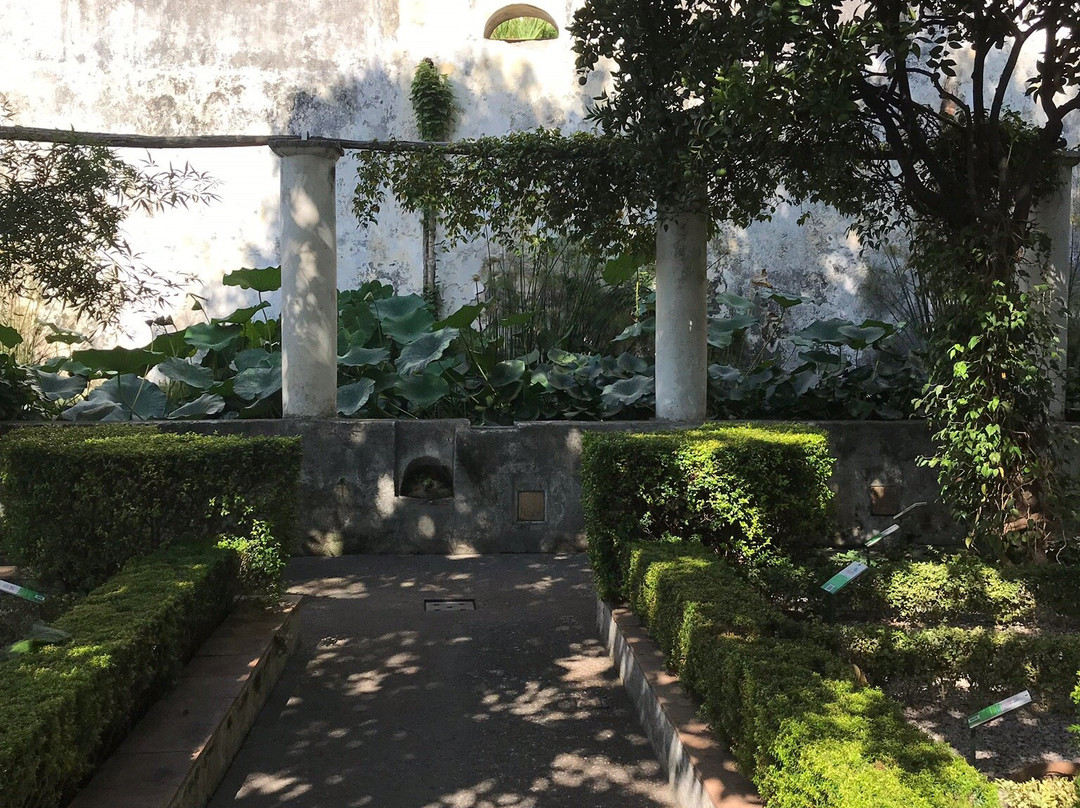 Giardino della Minerva景点图片