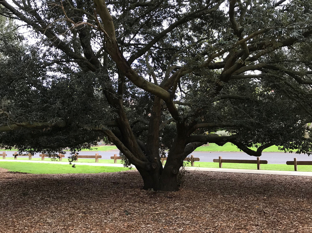 R E McIndoe Park-Leongatha必去景点