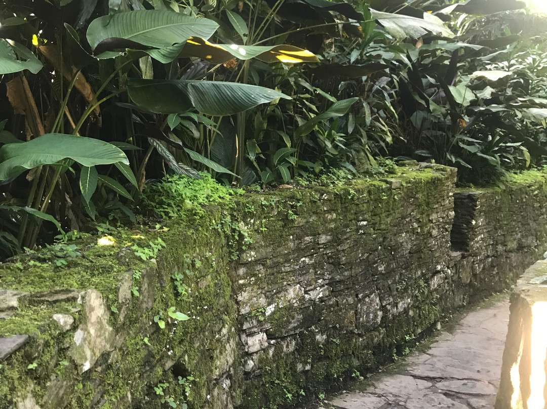 Jardín Escultórico Edward James, Las Pozas-Xilitla必去景点