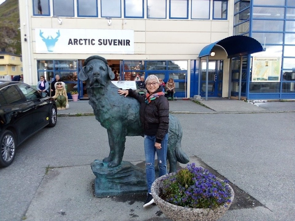Arctic Guide Service-霍宁斯沃格必去景点