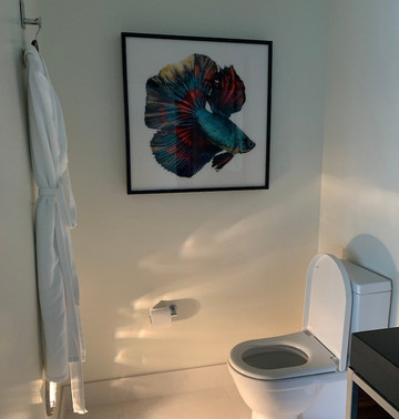 明尼阿波利斯钱伯斯酒店主图