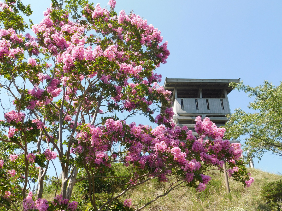 Joyama Historic Site Park (Arato Castle Remains)-千曲市必去景点
