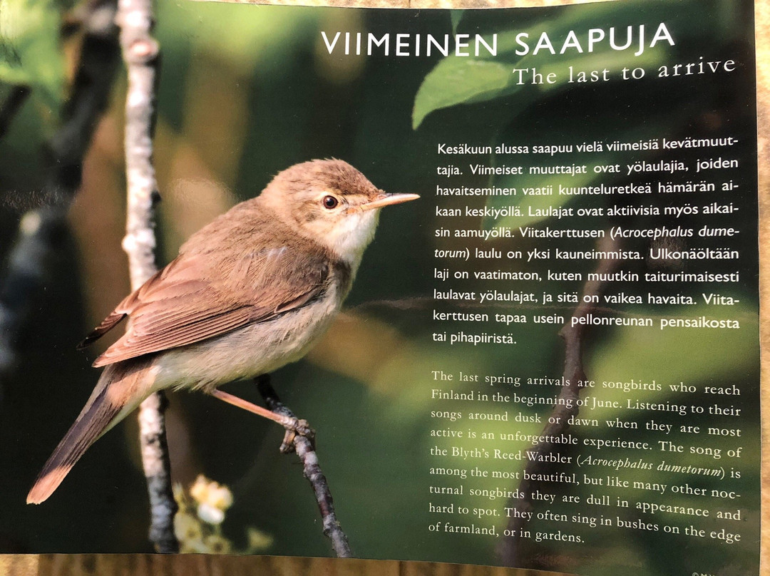 Liminganlahti Visitor Centre主图