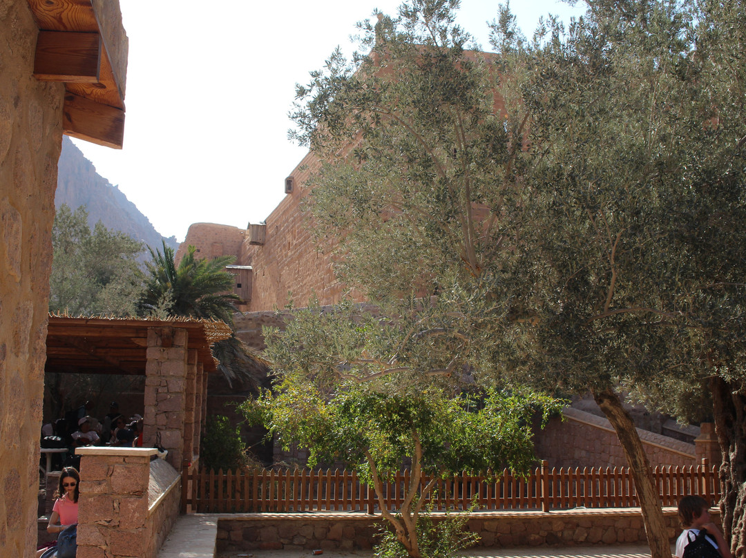 St. Catherine's Monastery-南西奈必去景点