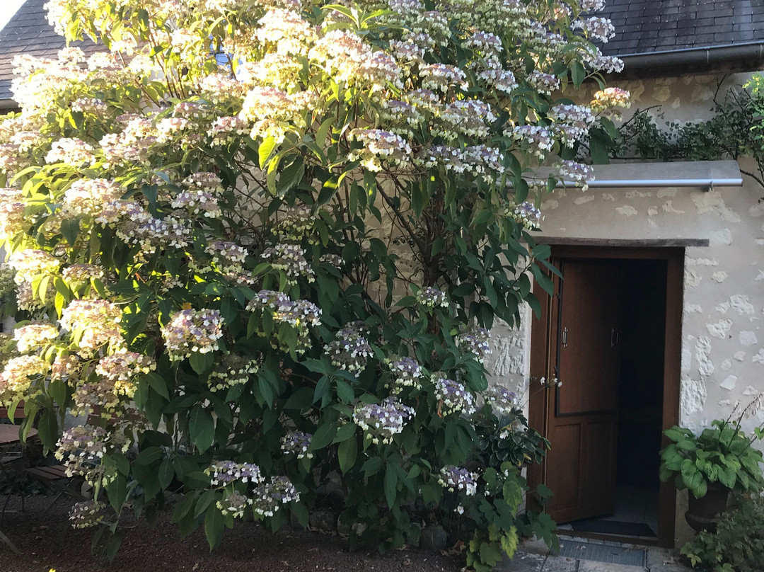 乐克洛斯德拉嘉德酒店主图