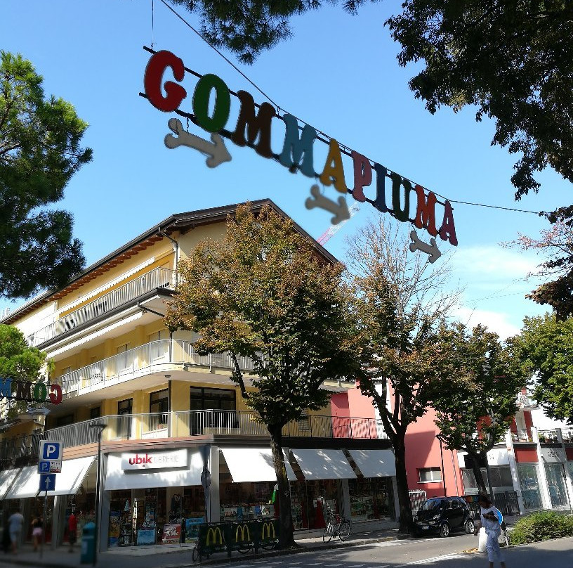 Parco Giochi Gomma Piuma景点图片