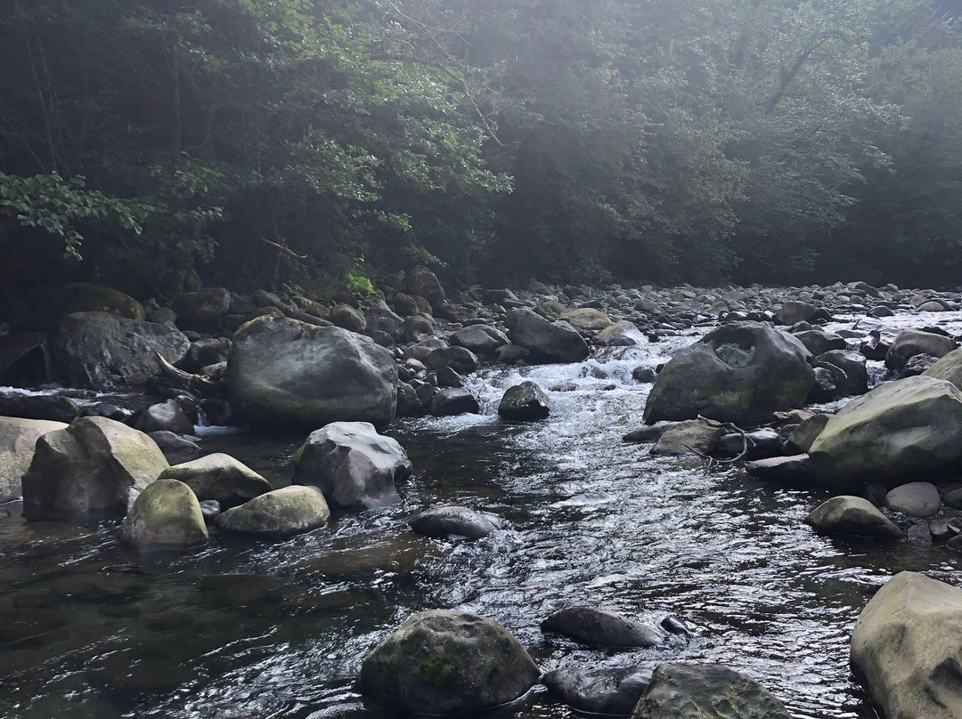 National Park Kintrishi-Kobuleti必去景点