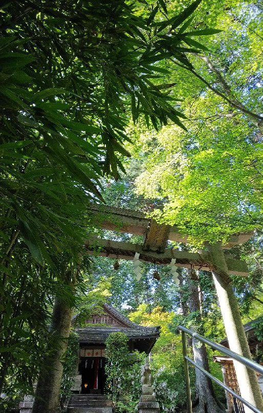 Sarumaru Shrine景点图片