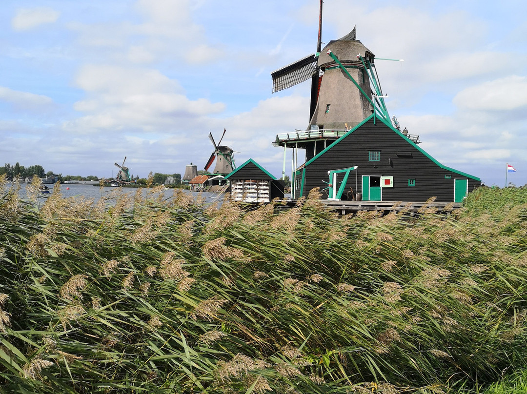 Alkmaar Cruises-Alkmaar必去景点