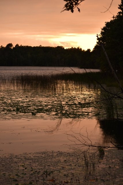 Heartwood Resort主图