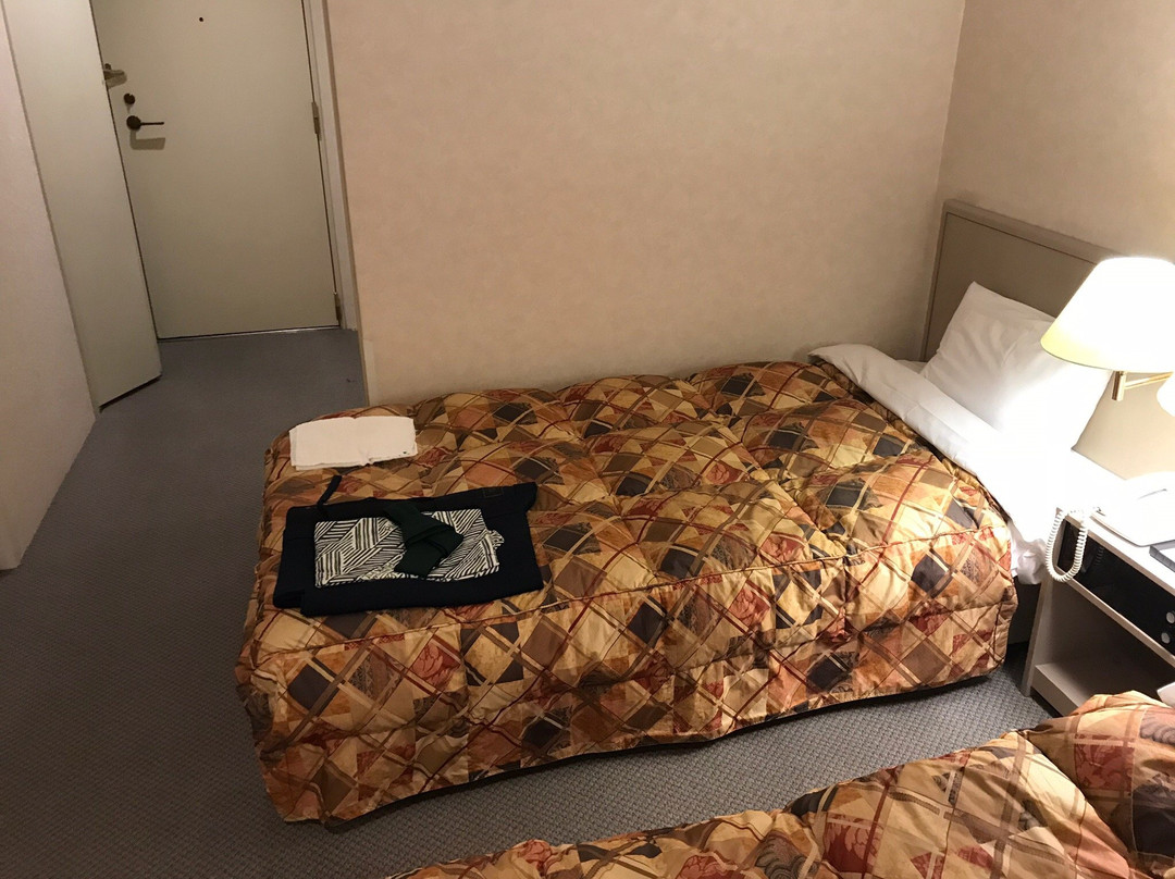 公园山酒店主图