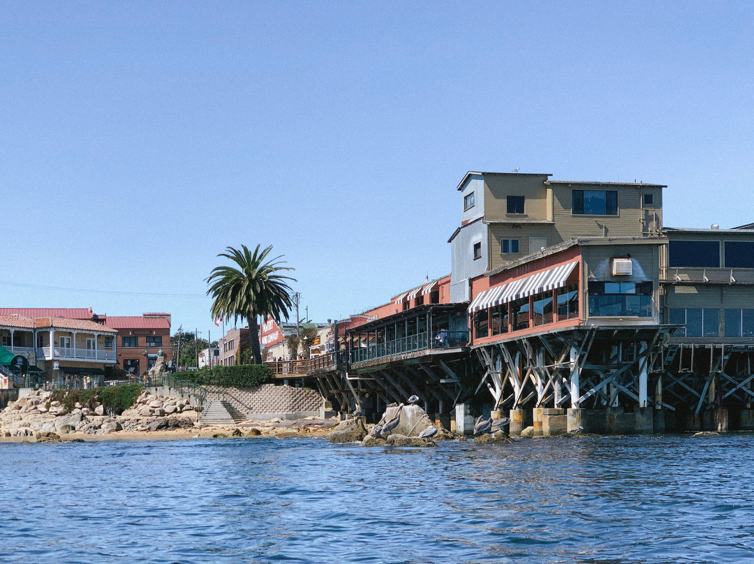 Monterey Bay Kayaks景点图片