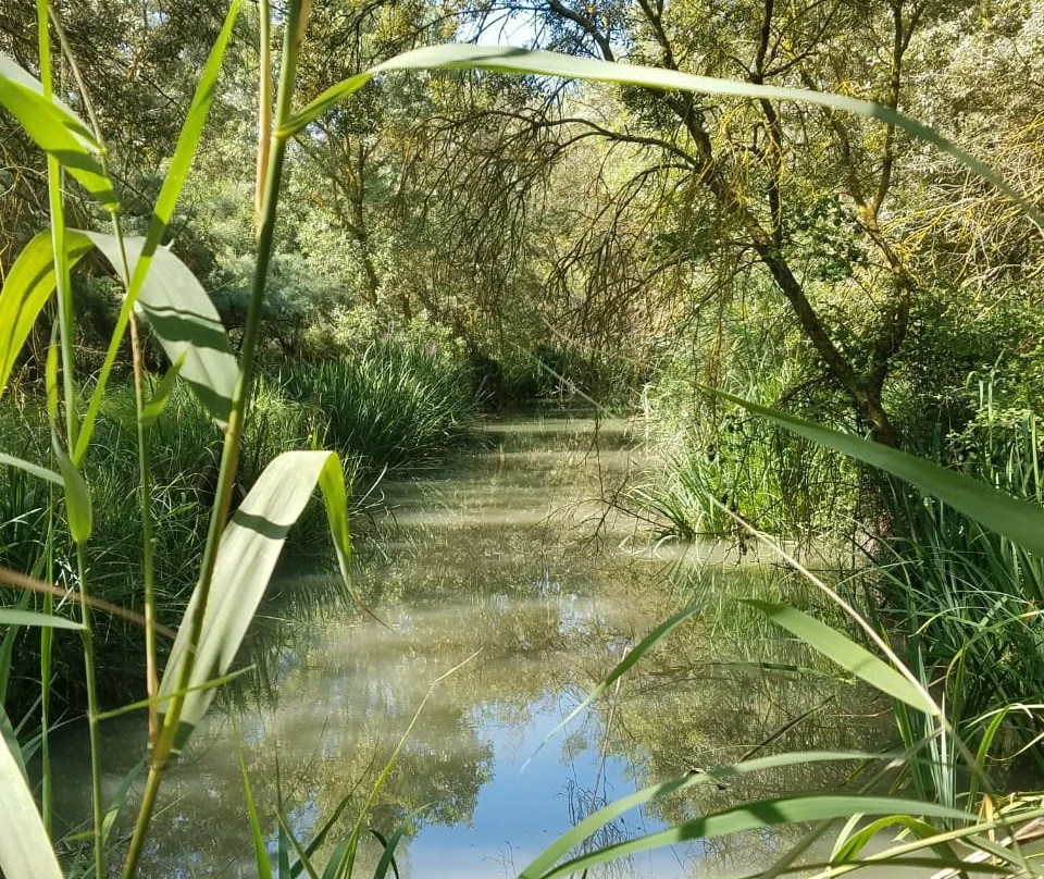 Maison De La Nature-Lattes必去景点
