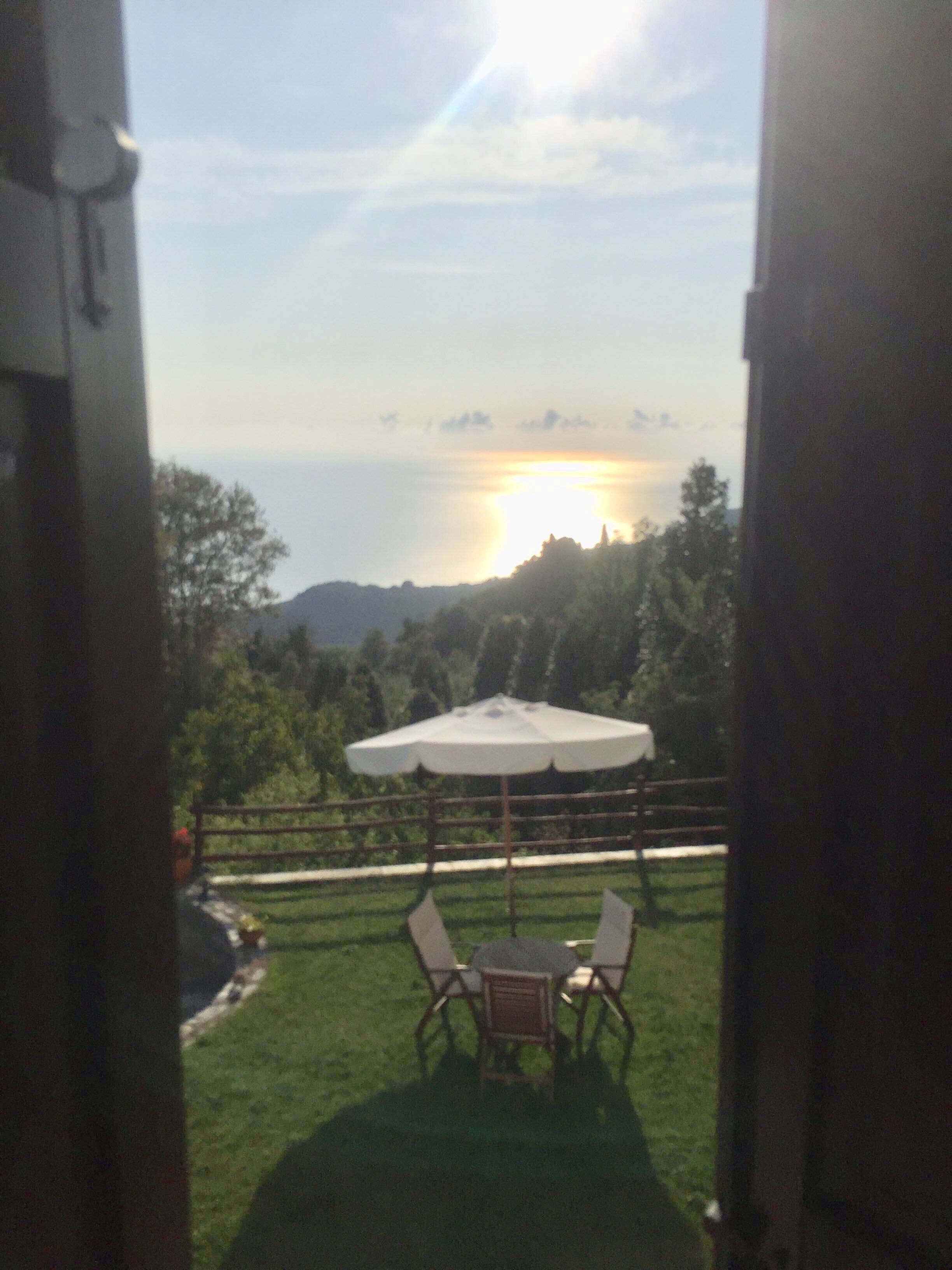 赛拉顿宾馆-酒店景观