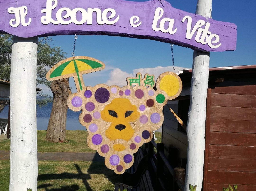 Il Leone e La Vite景点图片