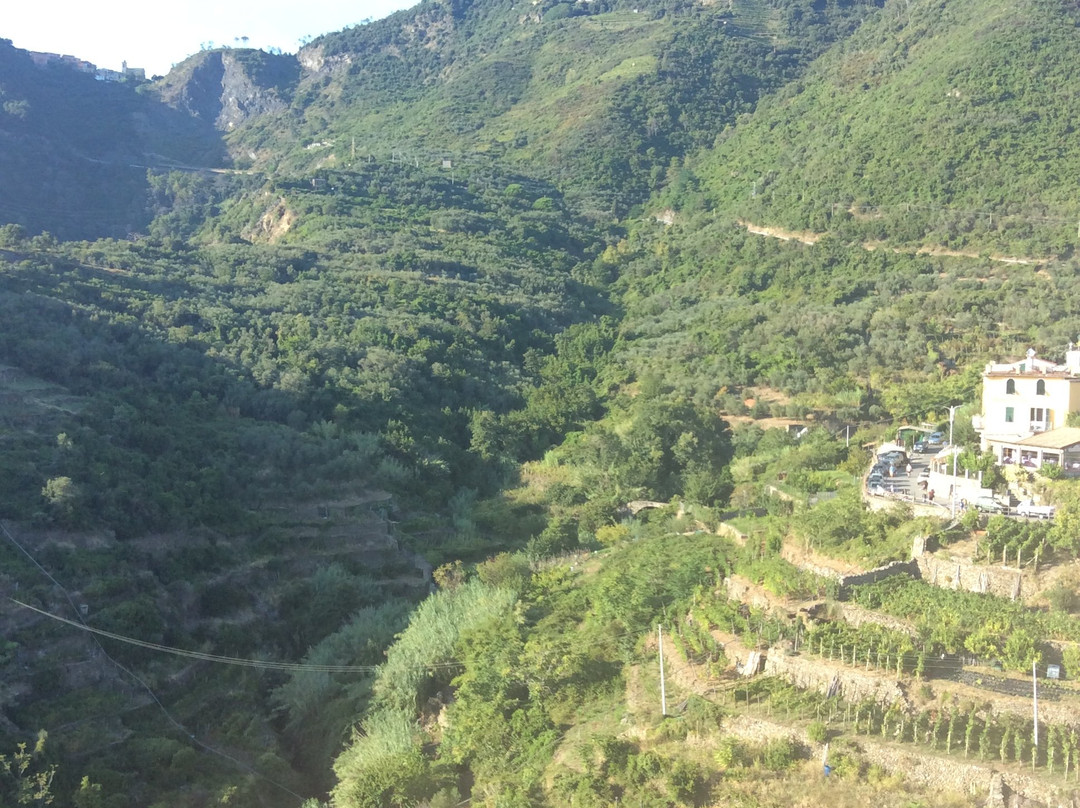 il Magàn - Cinque Terre主图