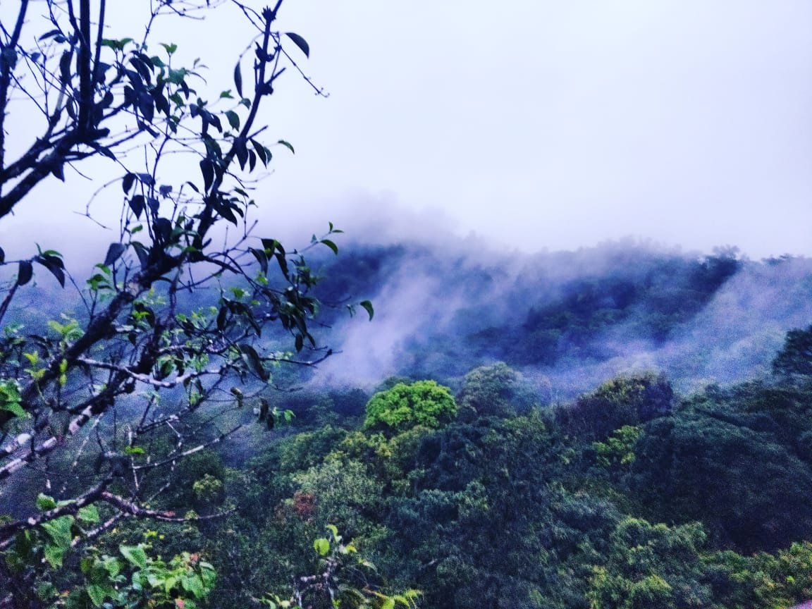 Kalgreen Valley Resort-官方