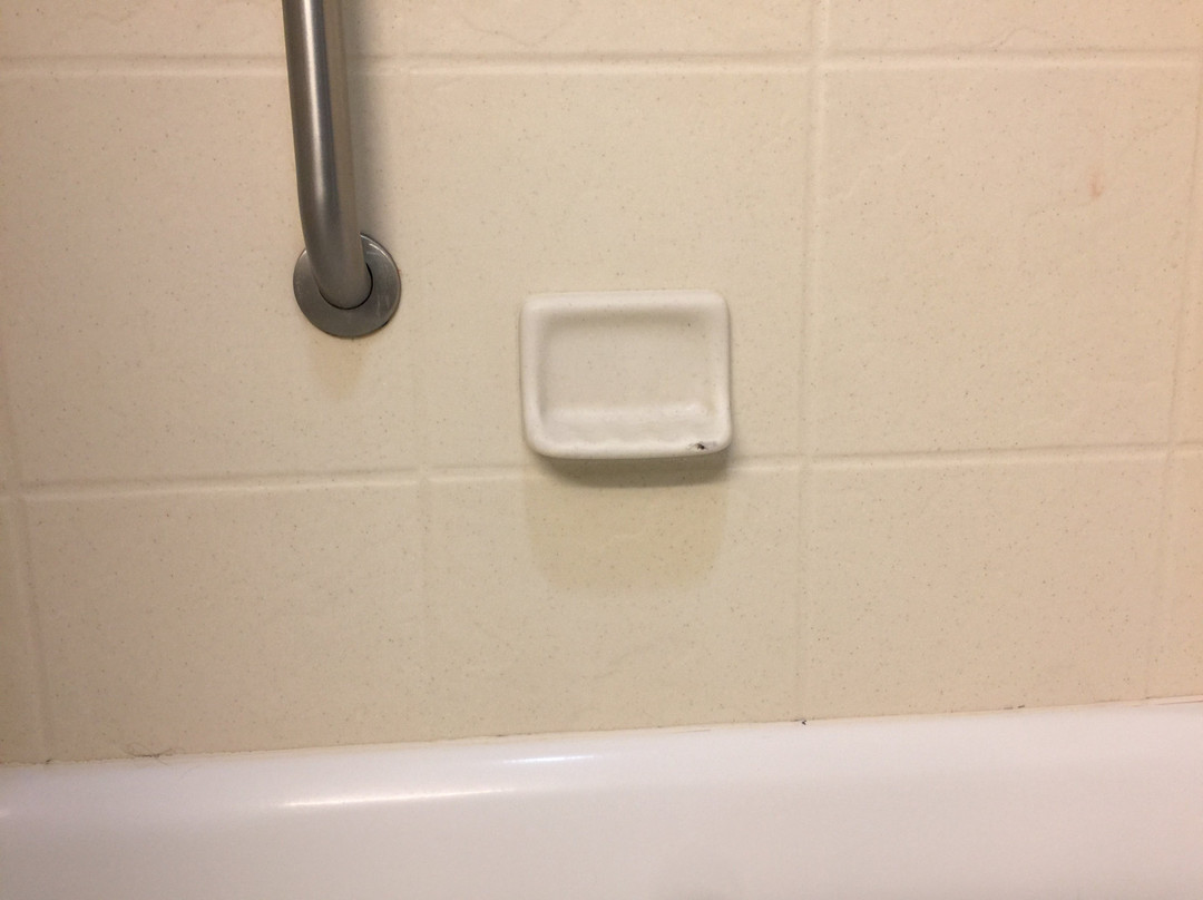 里霍博斯海滩希尔顿恒庭酒店主图