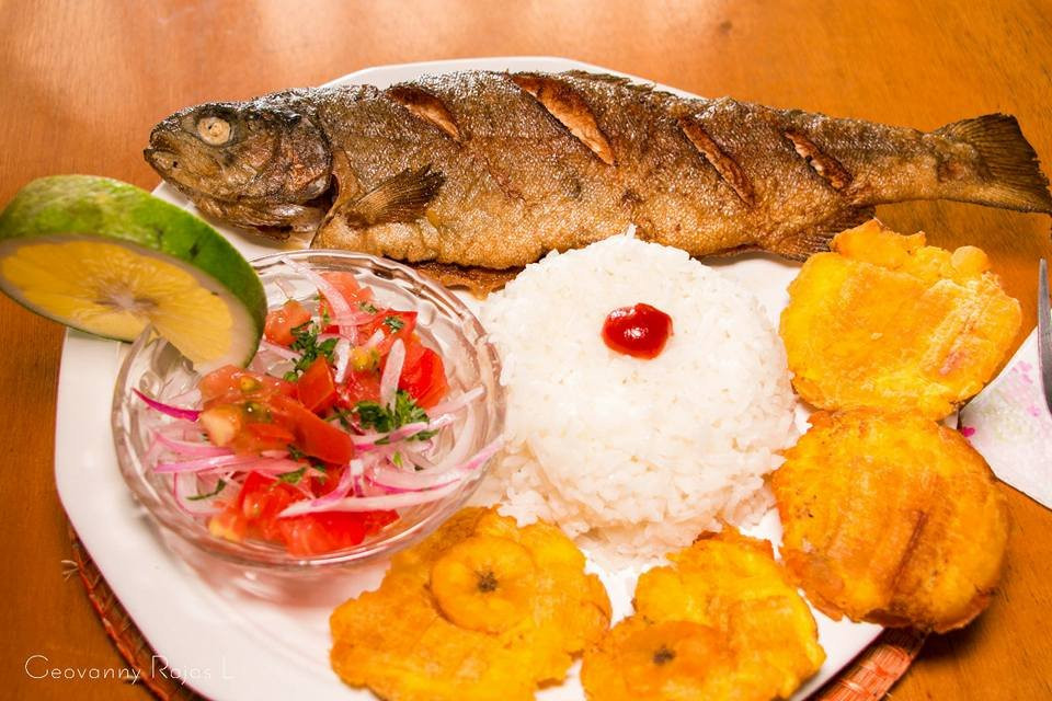 Cabañas Bird Planet主图