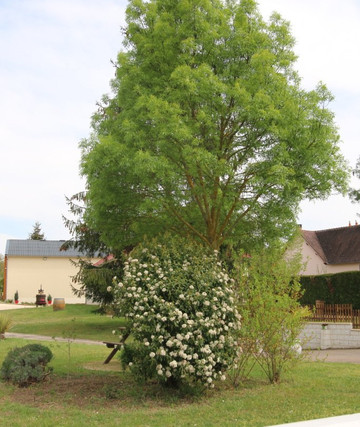 Domaine Petit et Fille-Pouilly sur Loire必去景点