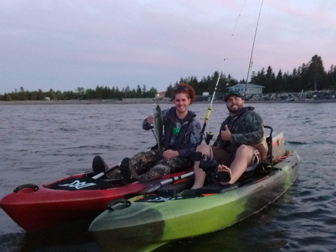 Plage Youghall Beach-Bathurst必去景点