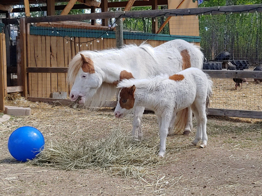 The 10 Acre Woods-Anola必去景点