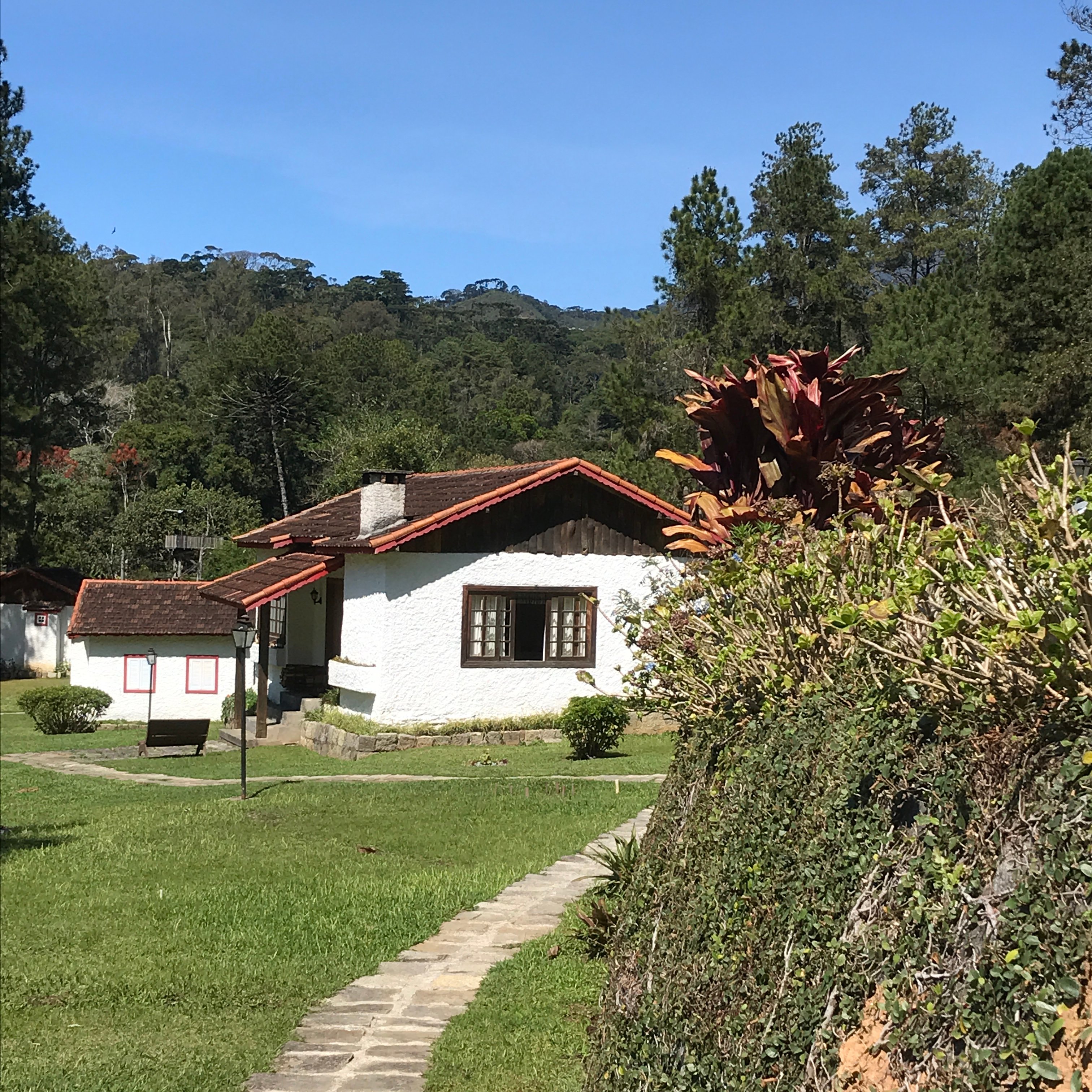 Chales Realli-官方