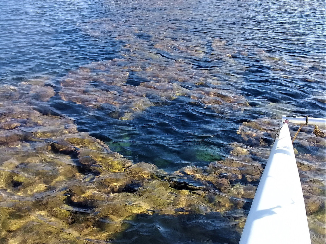 Viet Sail Phu Quoc-Ganh Dau必去景点