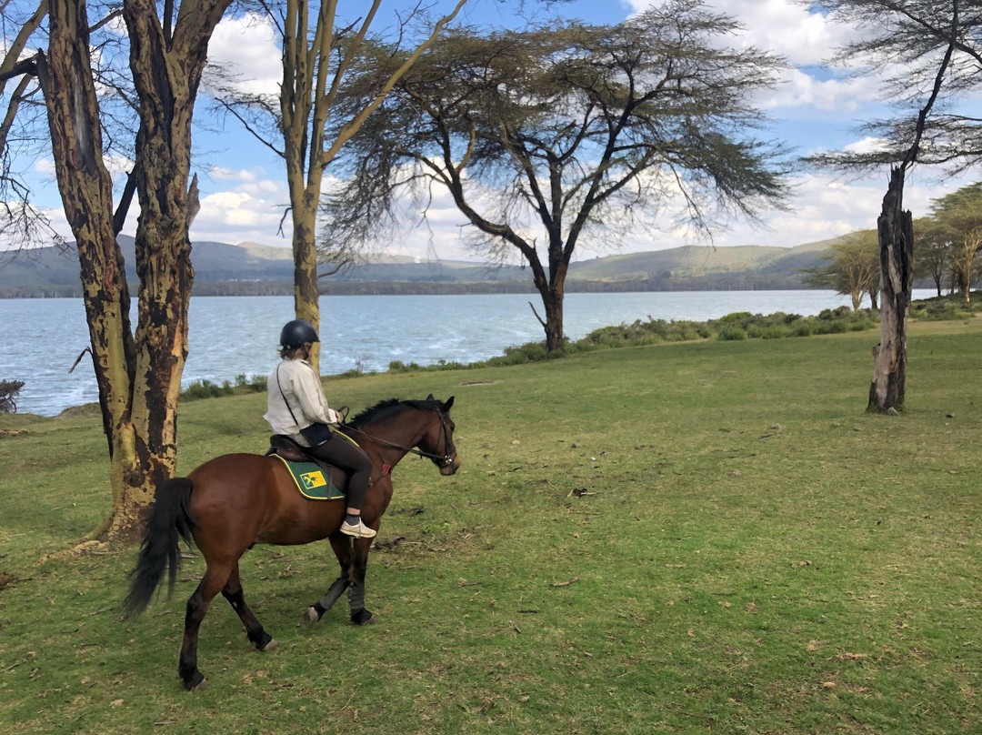 Bellafrica Journeys - Horse Riding Safari景点图片