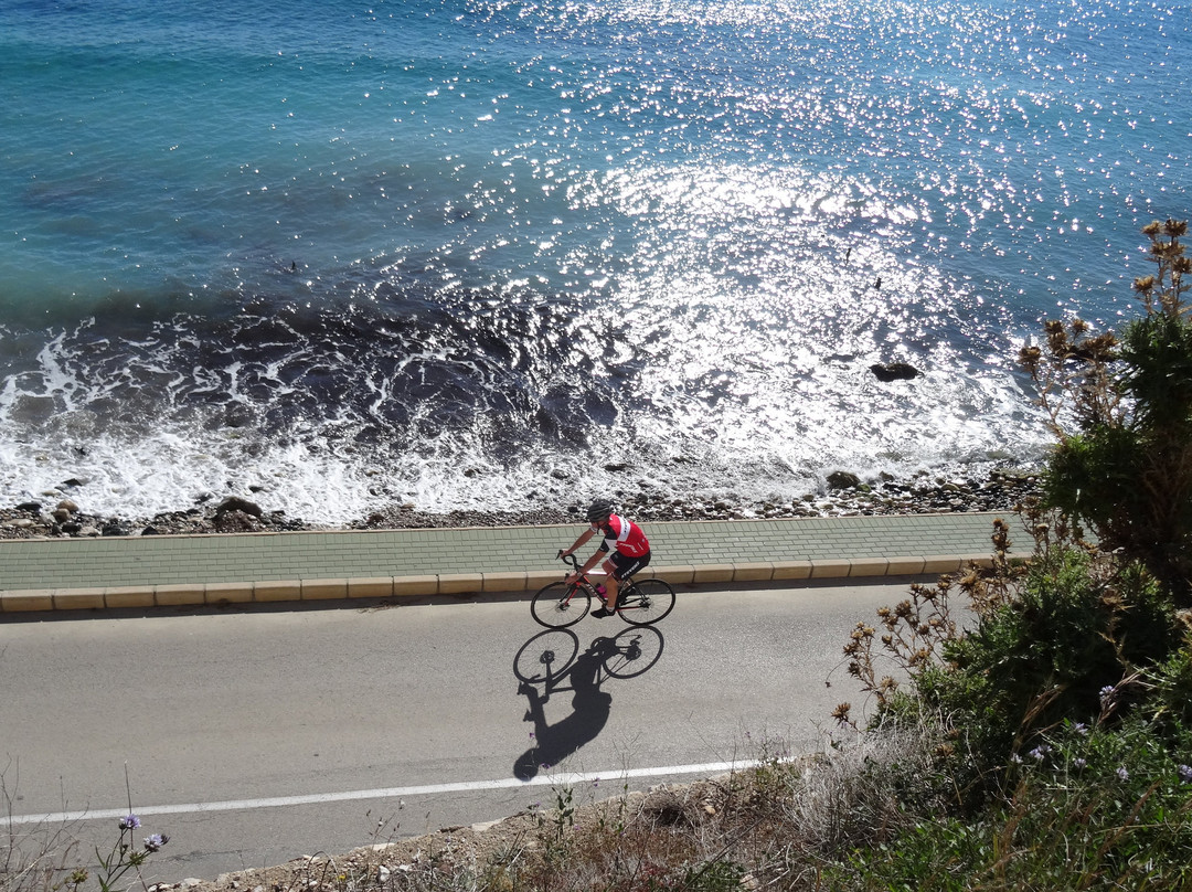 Allure Bike Rental-L'Alfas del Pi必去景点