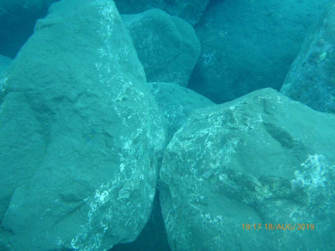 Calheta Diving Center-卡列塔必去景点