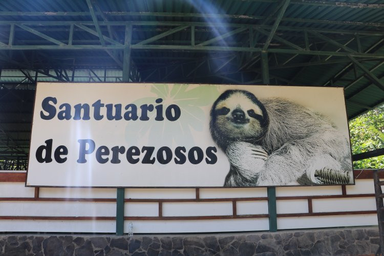 Sloth Sanctuary of Costa Rica景点图片