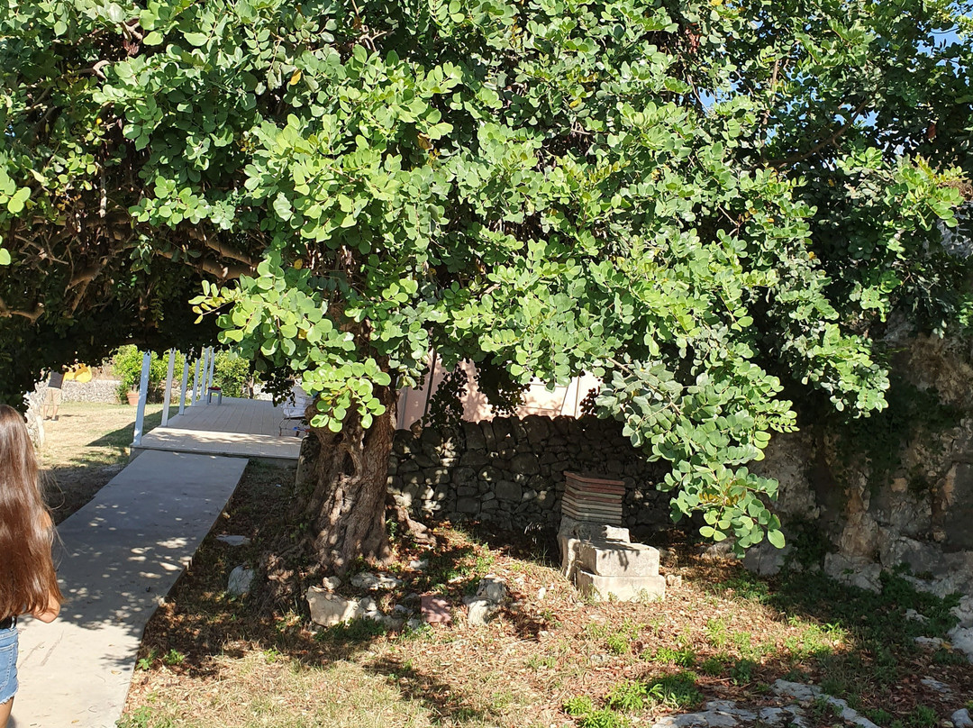 Villa Principe di Belmonte主图