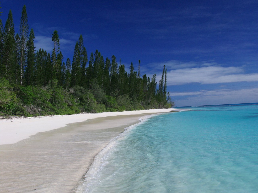 Brush Island-Ile Des Pins必去景点
