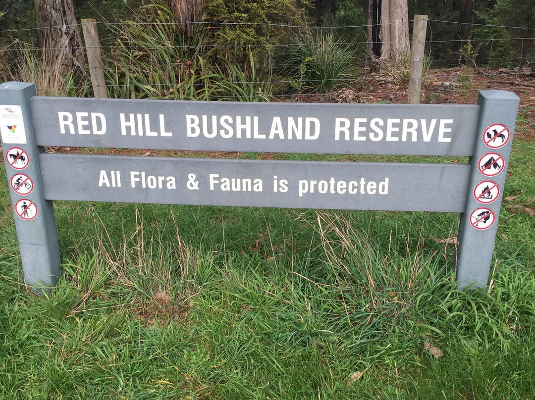 Red Hill Bushland Reserve景点图片