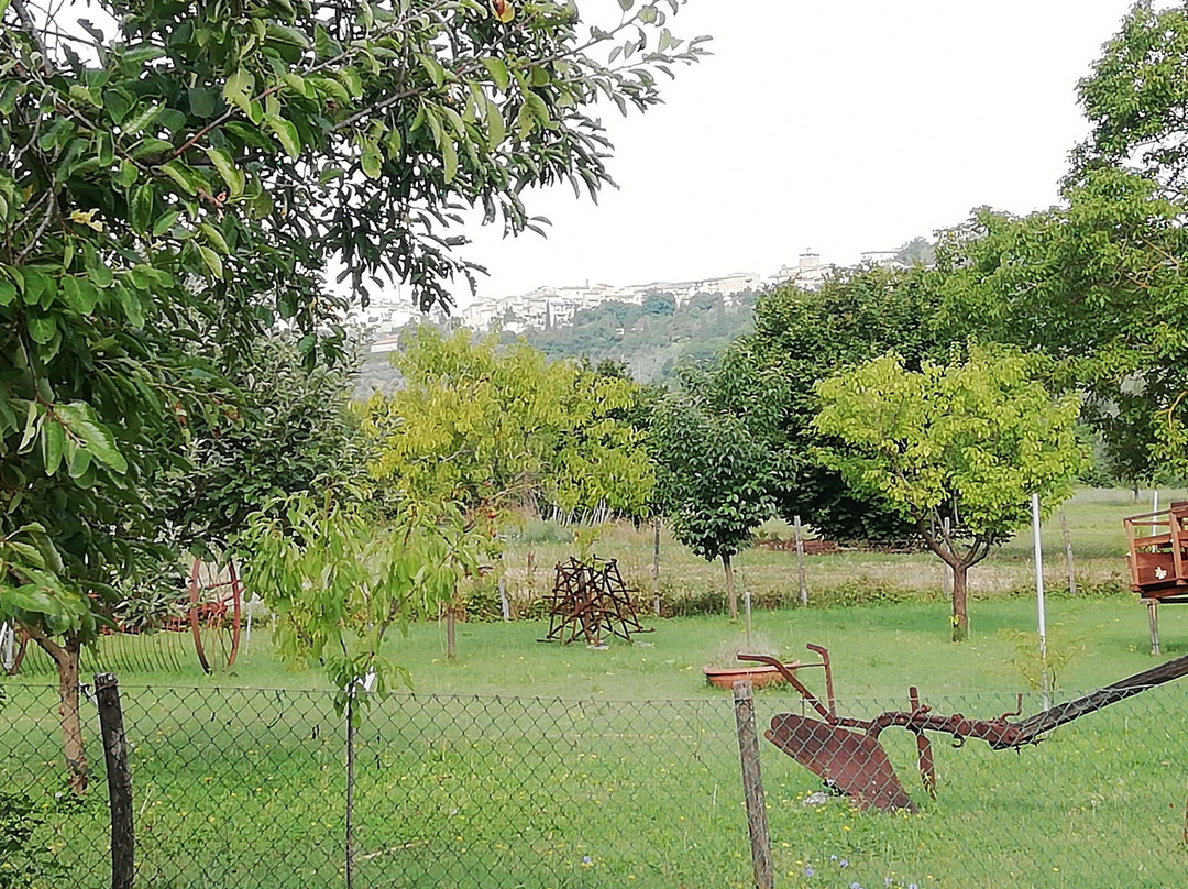 Il Nasciolo